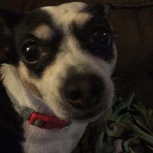 Meet your Posher, Kim